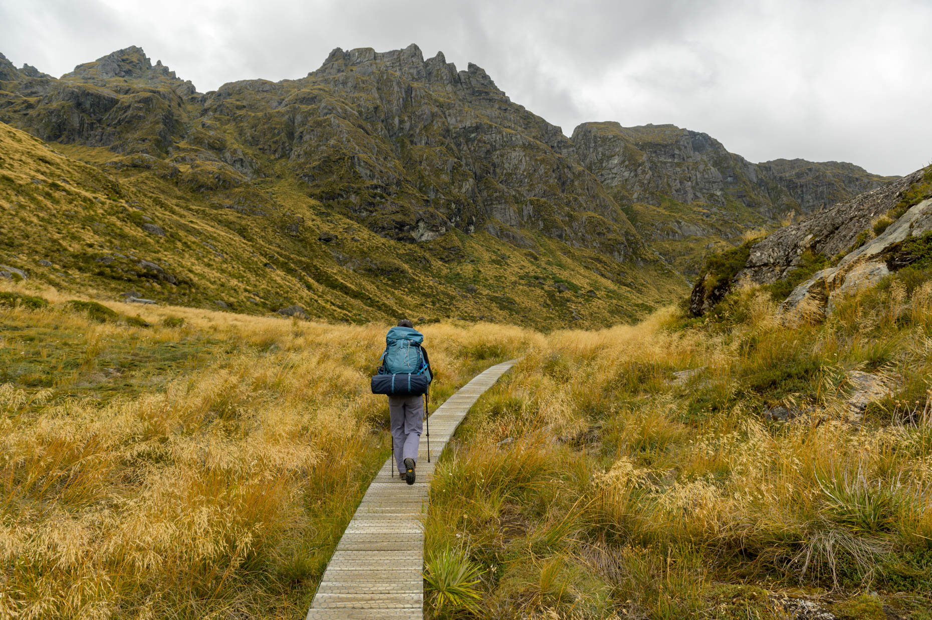 20190209_NZ_1394